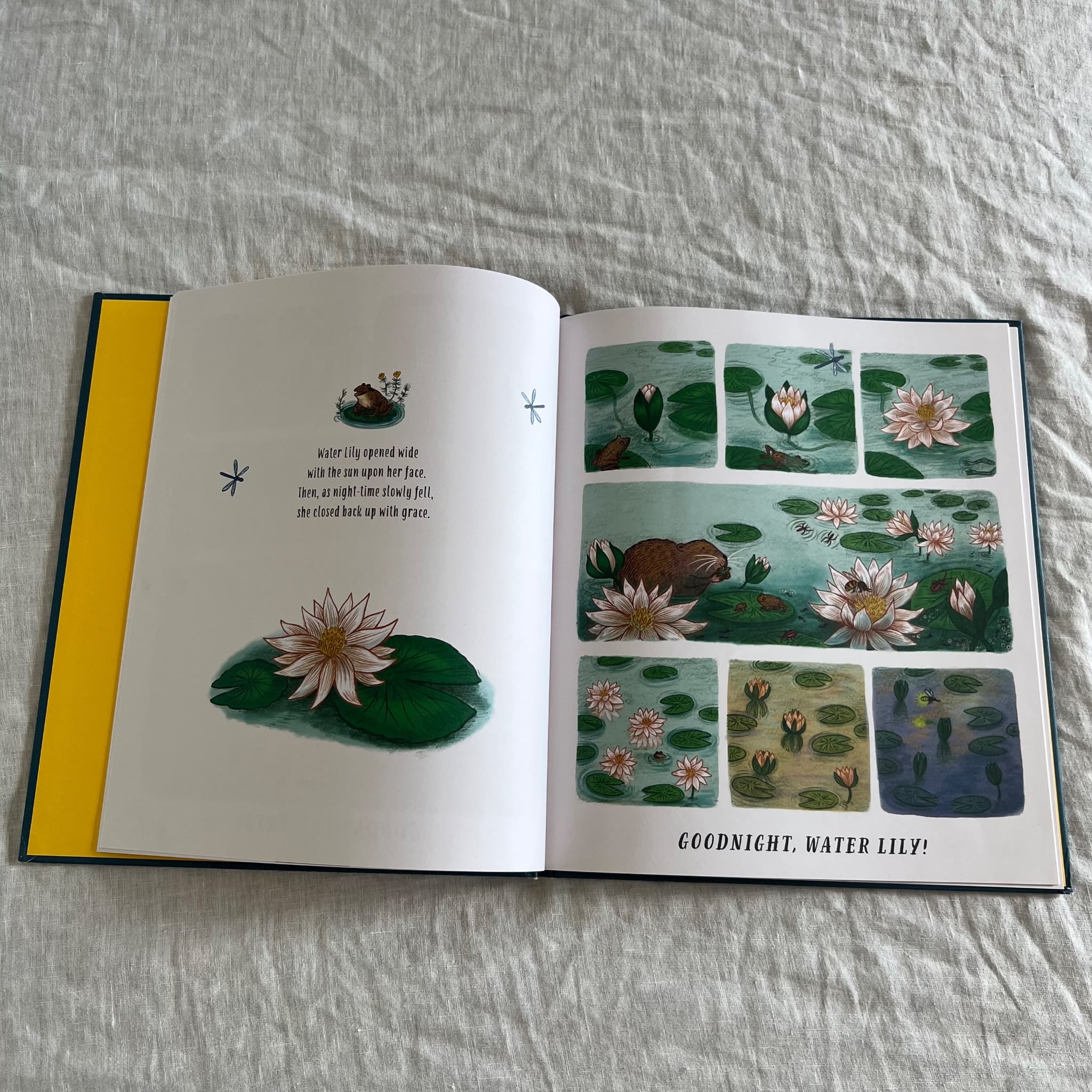 Slow Down... And Sleep Tight by Rachel Williams - Children's Bedtime Book — photo 3 of 7