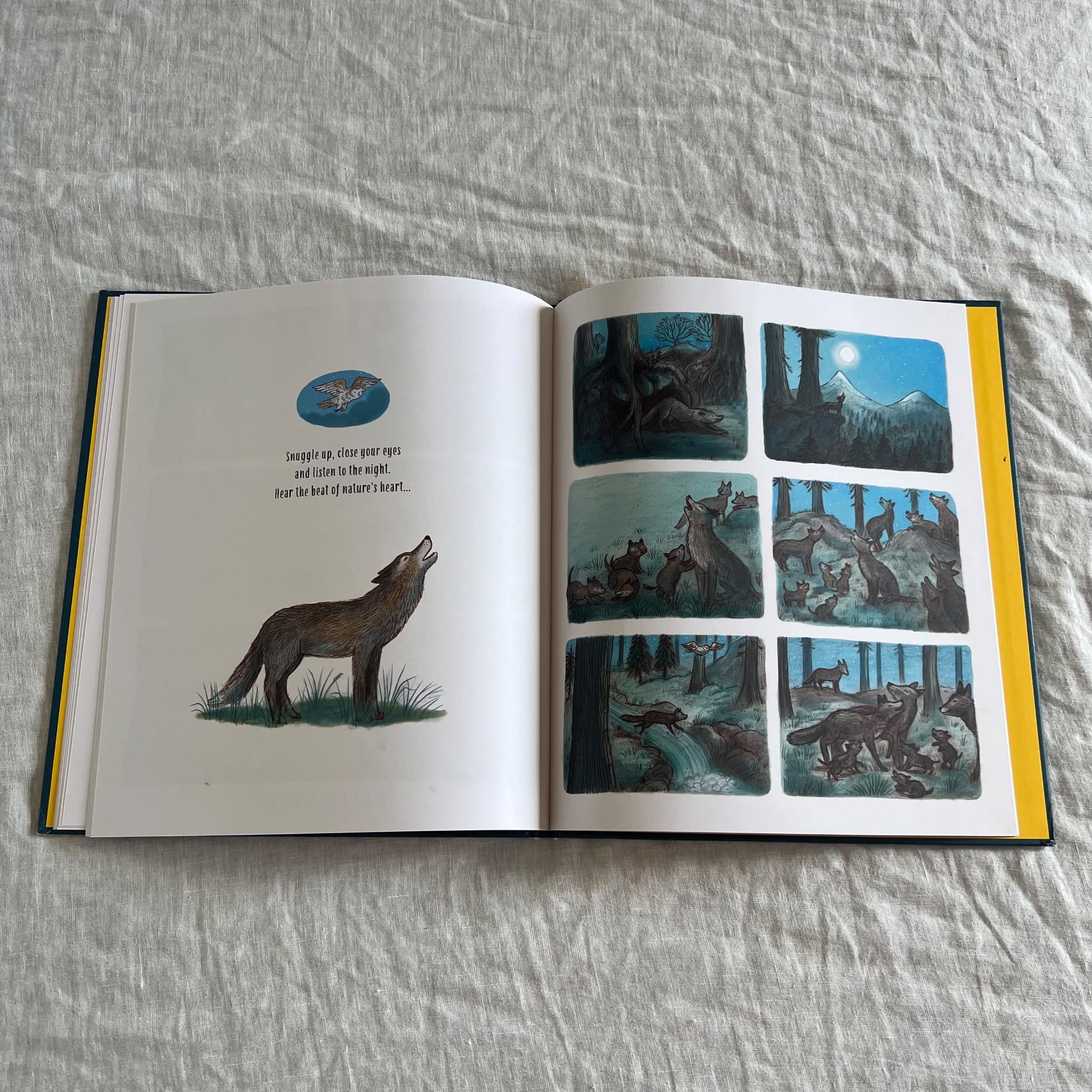 Slow Down... And Sleep Tight by Rachel Williams - Children's Bedtime Book — photo 7 of 7