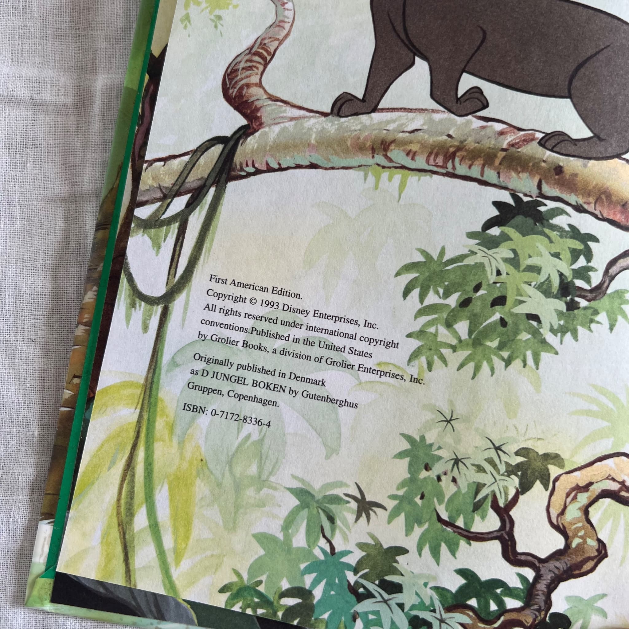 Walt Disney's The Jungle Book - Disney's Wonderful World of Reading — photo 3 of 6