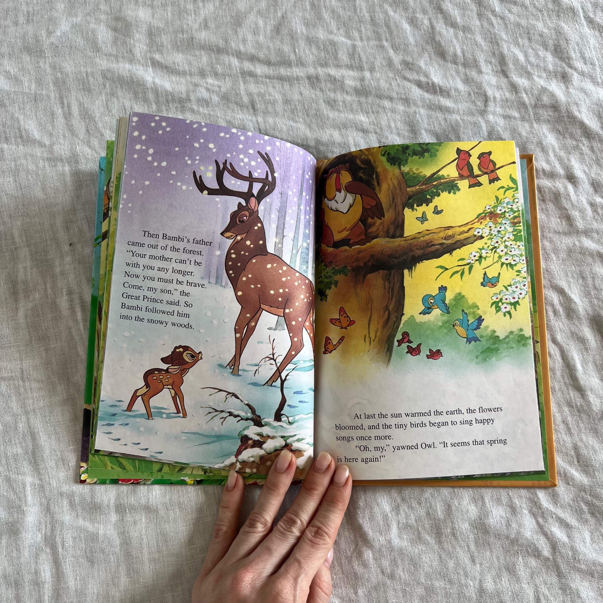 Walt Grolier Books's Bambi - Grolier Books's Wonderful World Of Reading Hardcover Book — photo 6 of 6