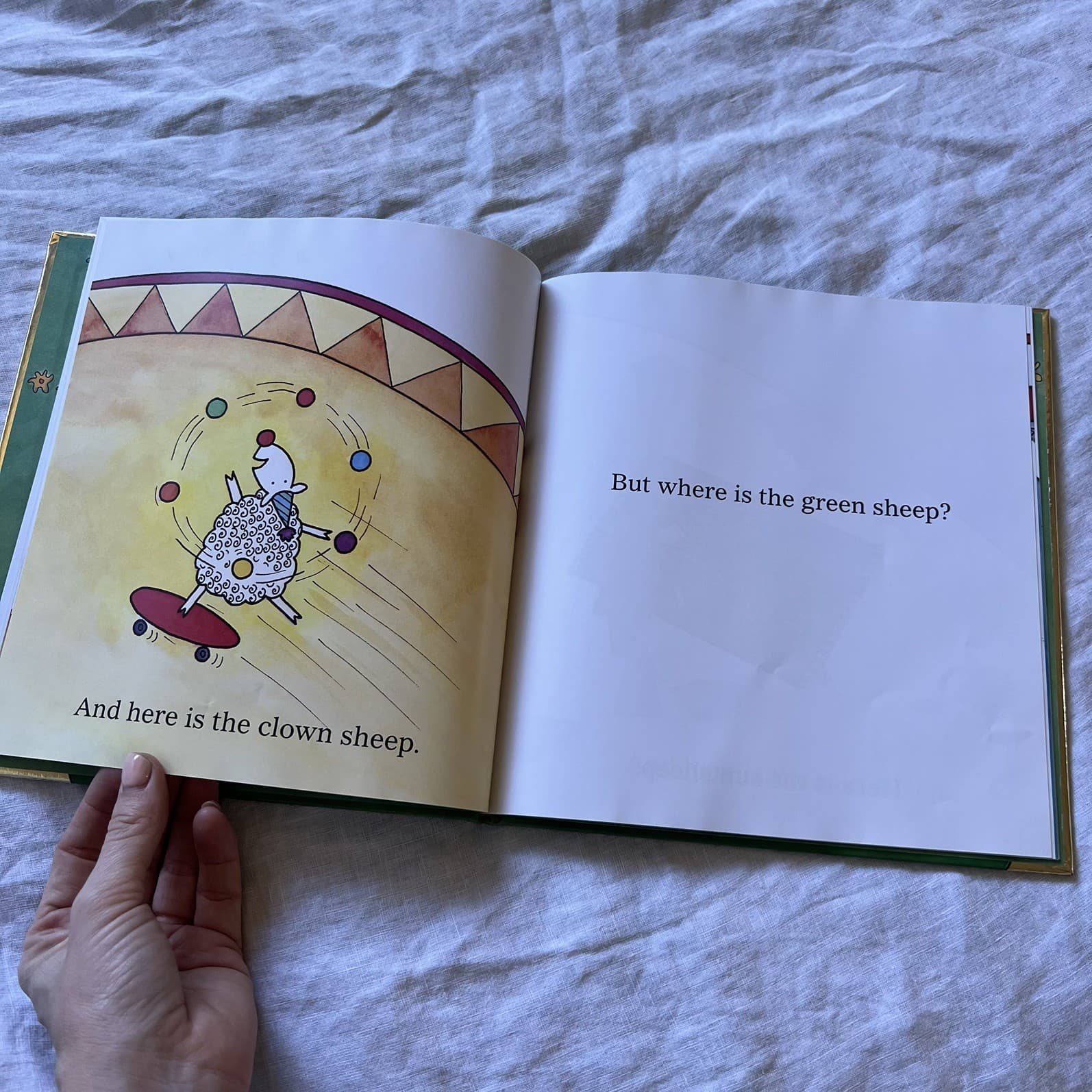 Where is the Green Sheep? Mem Fox Gold 20th Anniversary Edition Hardcover As New — photo 3 of 4