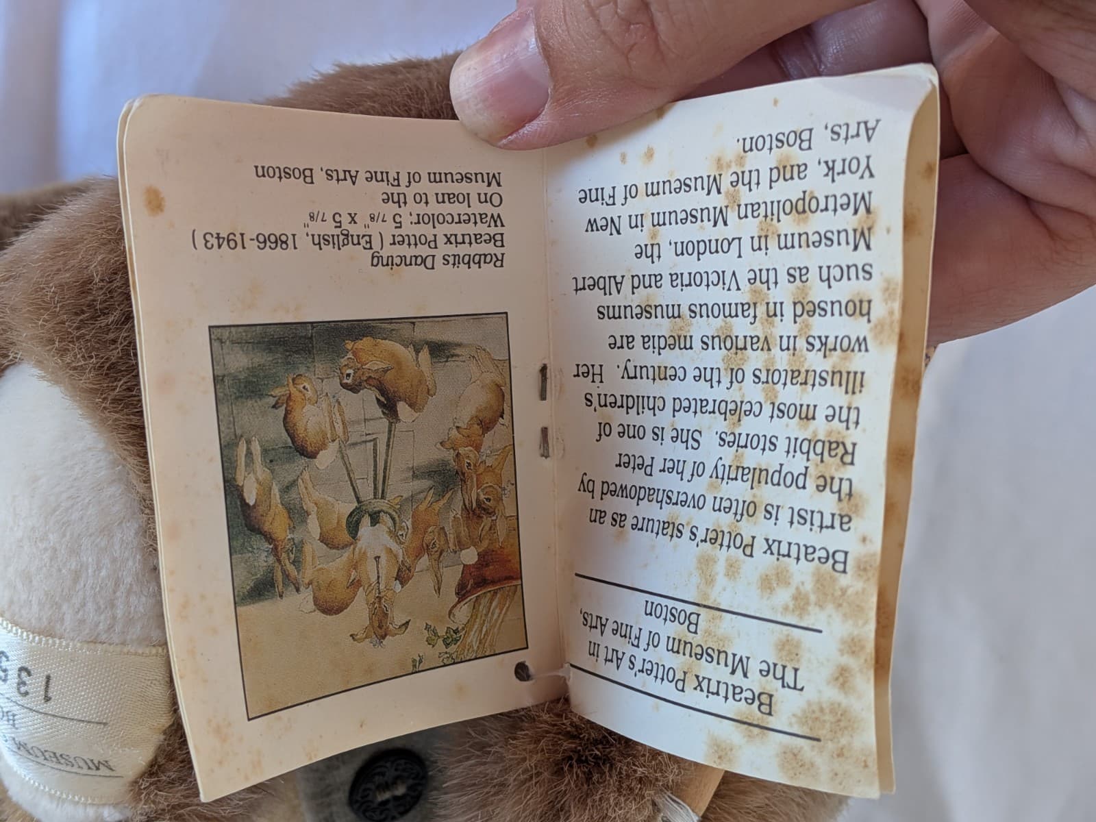 Peter Rabbit Plush Beatrix Potter Eden Toys Museum Fine Arts Boston Collectable — photo 17 of 18
