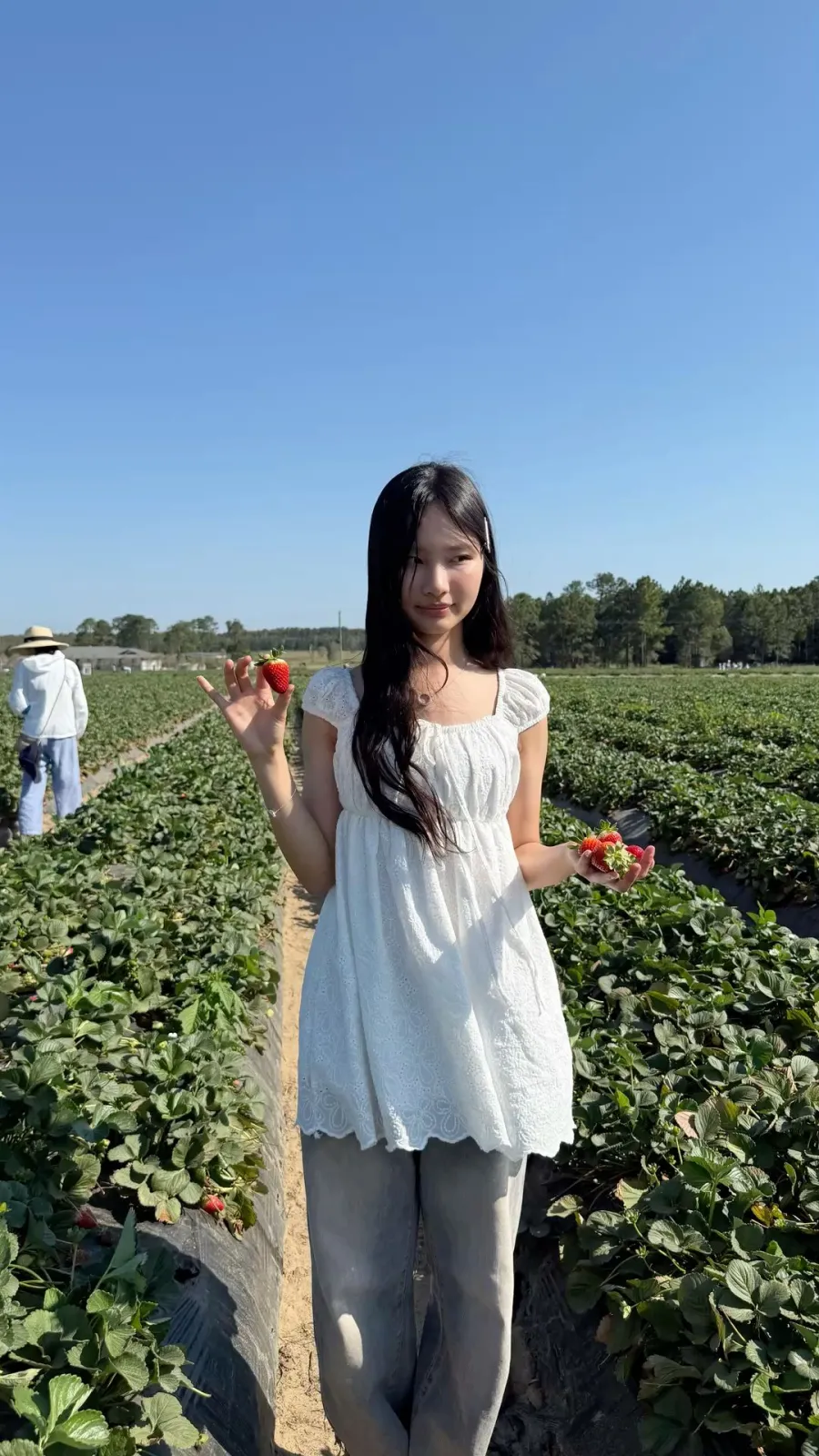 Strawberry Girl aesthetic — The white puff-sleeve sundress, strawberry picking setting, and subtle hair clip perfectly capture the American, sweeter, and softer romance of a summer farmer's market described.